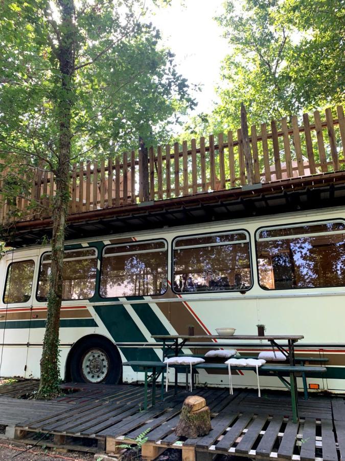 Magic Roof Top Bus With Big Bath In The Tree Forest! Мимизан-Плаж Экстерьер фото